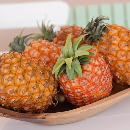 Marta - Toutinegra Vila Franca do Campo