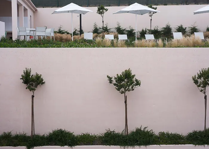 Marta - Toutinegra Apartmán Vila Franca do Campo