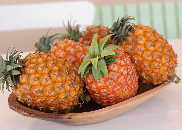 Marta - Toutinegra Vila Franca do Campo